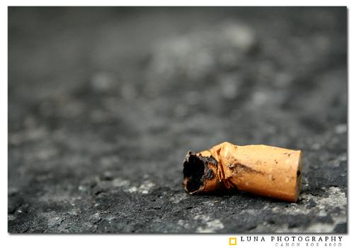 MY collection of photo - No smoking