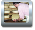 cheese - the big and sweet cheese