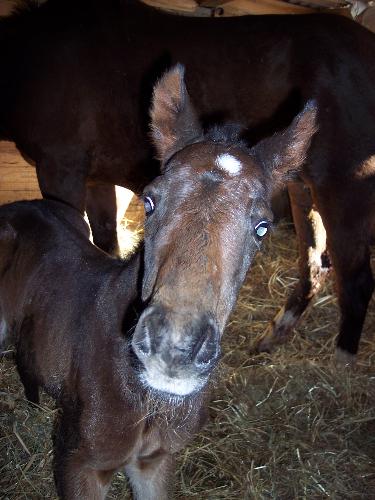 Sable's baby - 4/24/07