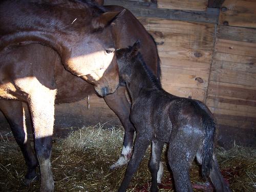 baby boy - 4/24/07