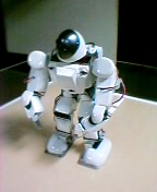 A Robbot!!! - This is a robbot made by japonese!!!