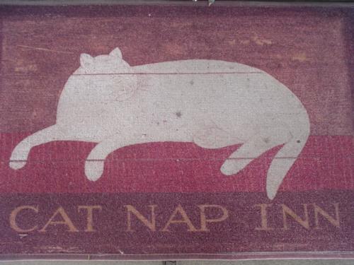 Cat Nap Inn Door rug - This is the rug at the entrance to my front door. i love cats so and could not resist this one when I found it. It is getting old and worn but I just can&#039;t part with it.