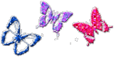 butterflys - pretty butterflys
