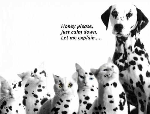 funny pict - i love funny picts