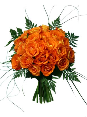 orange roses - I just love orange roses