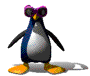 dancing penguin - Penguin getting his groove on