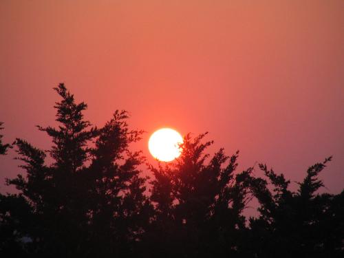 Scenery - Picture of the sunsetting, taken by my daughter