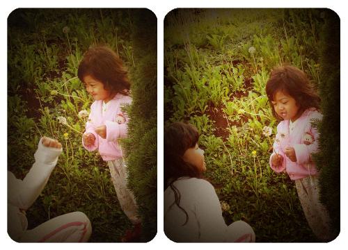 Vintage Tiny-Little Girl - The best morning shots I did during vacation at Selecta - Batu, Malang, Indonesia. This is our beloved daughter named Kila. Then my lovely wife did some manipulation into a lomo look alike, yes, there is a vintage-greeny looks for this photo. The costume Kila's wear fit into it.