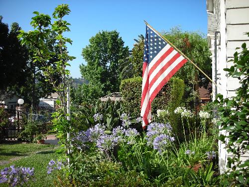 GOD bless America - this a photo of the American Flag taken from our front yard..