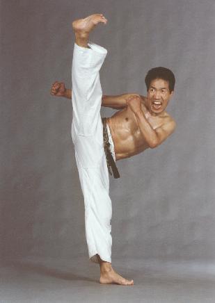 Martial Arts - Taekwando or Karate