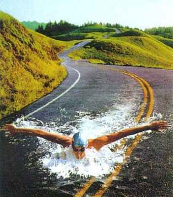 swim - can u swim here
