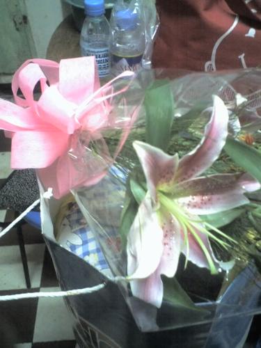 My Lilium - B gave this to me when I was sick.. I was admitted into the hospital for suffering dengue fever, he surprised me with this bouquet. Until today I still treasure the petals and the pink ribbon..