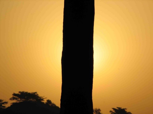 sunset - it