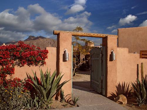 spring - Adobe Gate, Borrego Springs, California