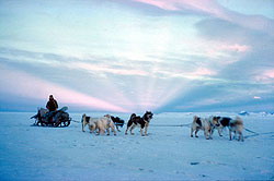 Antarctica - Do you want to go there? I like to go there someday? Is somebody who was there?