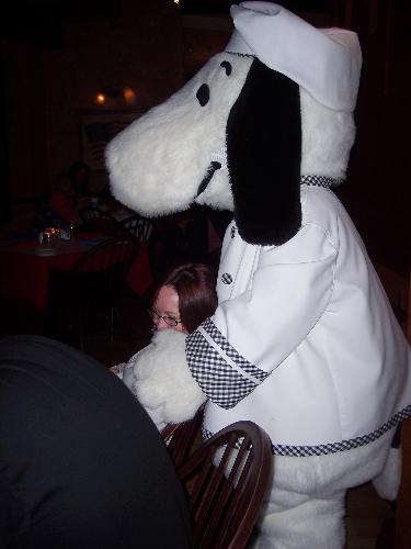 Everyone&#039;s favorite dog - This is snoopy - I saw him at an event for an amusement park back when I used to live in California - Do you think he eats his kibble in another room?