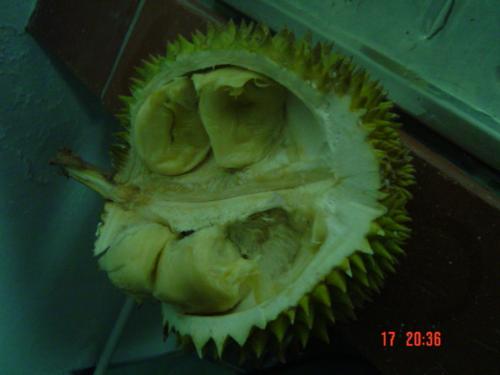 King of Fruits - Durian - It flesh is very smooth and thick. The skin is torny and the smell is weird but believe me it taste gooooddd.