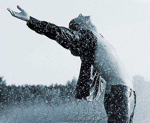 The Shawshank Redemption - Freedom