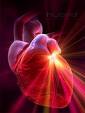 heart attack - heart problems??