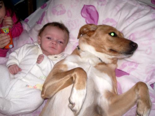 Sandy and my son - This picture was taken when my son was a few months old, our dog loves him and never leaves him alone!