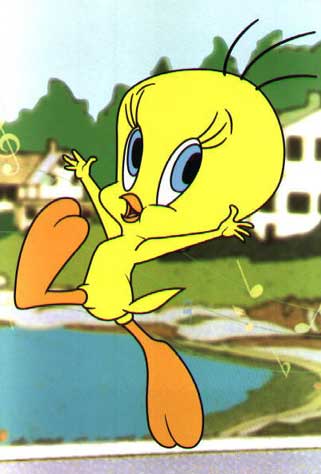Tweety!!! - I tawt I taw a puddy tat..I did I did....