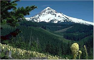 Mountain - I like scenery and I can see mountains right outside my window.
