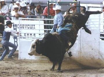 My friend Matt's last bullride - Matthieu Ethington was a friend who used to be a bull rider. He had to give it up because it was taking a toll on his back.