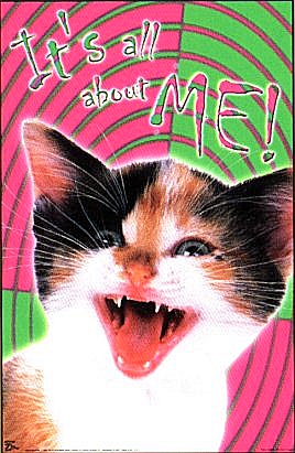 It's All About Me! - It's all about me cat picture. Kinda cute and a little scary.