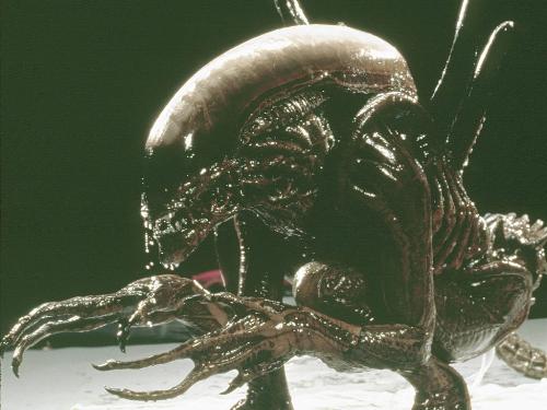 this one is realy cool  - this is one of them the alien