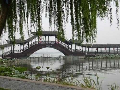 weeping willow and bridge - The willow's braches swing slightly