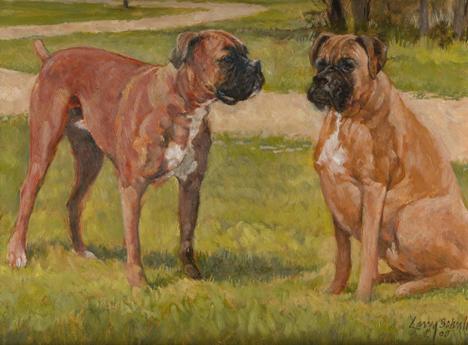 2 Boxers - I love boxer dogs and would love to have many of them with me.
