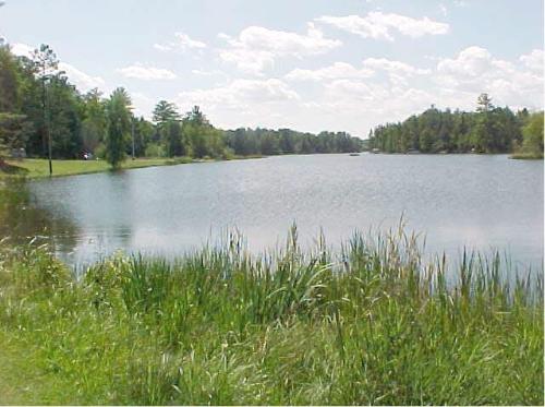 Thunder Bay - There are some wonderful areas to camp around Thunder Bay. This is the view from one of the campgrounds where we went last summer. Isn't it beautiful? There are so many other campgrounds with beautiful waters just like these. Michigan has lots of beautiful scenery. Why not take your family camping in Michigan? You won't be sorry.