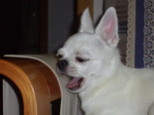 7 - aaaaaaaaa............