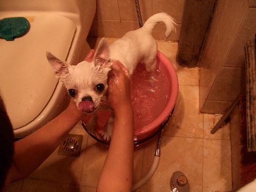 8 - take a shower