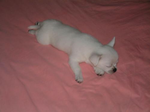 9 - so cute!!!!!