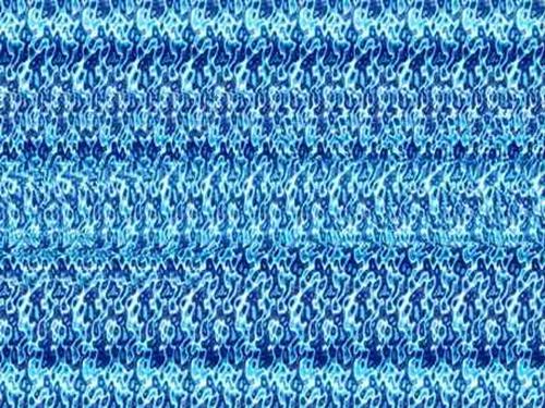 three-dimensional - There is a photo with three-dimensional , you will find a beautiful fish if you can payment attention to see it.