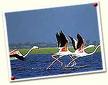 India - India with different culture and a beautiful heaven :)