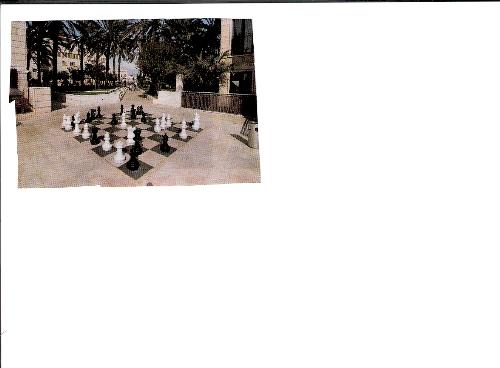 Kings game - Do you play chess? I love this game!
