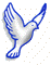 dove - peace and freedom