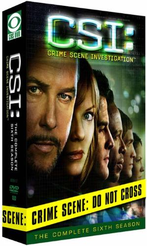 csi - CSI season 6
