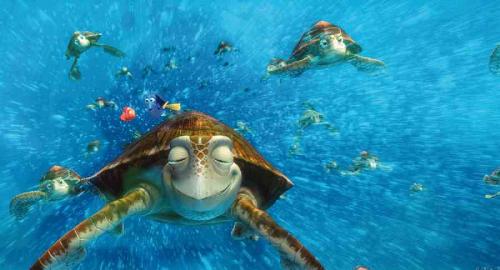 Finding Nemo - Finding Nemo movie