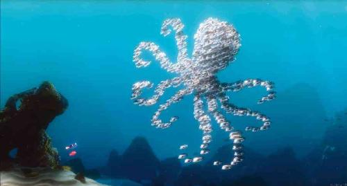 Finding Nemo - Finding Nemo movie