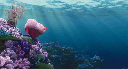 Finding Nemo - Finding Nemo movie