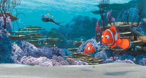 Finding Nemo - Finding Nemo movie