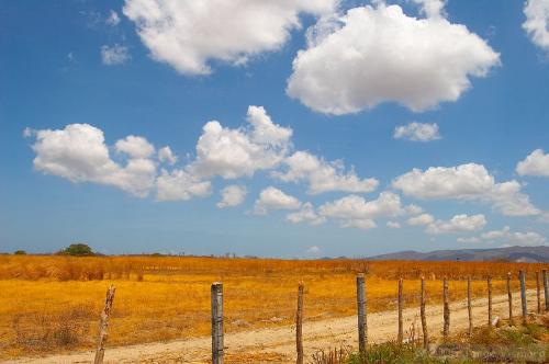 near Fortaleza, Ceara - Northeast Brazil