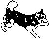 Husky Art - Playing Siberian.