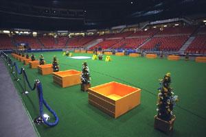 The Ring in Best in Show - Based on the Best in Show ring at Westminster held inside Madison Square Garden.