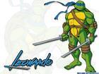 tortoise -  this character was impressed me deeply in my child period time i took an fancy to the cartoon and always sit beside the television waiting it begin.from time to time,the homework was neglected and therefore,was criticised by teachers and parents.evev if i still can't help concentrate on the action of the cartoon, just like a magnet to attract me deeply.i love it,so no one could keep me from my favorite