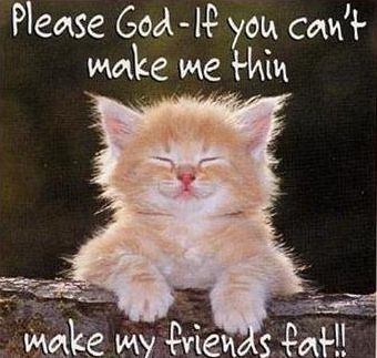 Fat Friends - This photo is pretty self explanatory