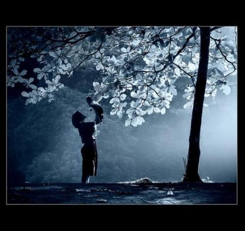 chill winter evening - hey i like chill evening in winter ....
